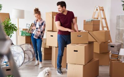Priority Tasks for Your Move in